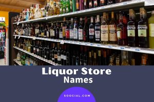 1633 Liquor Store Name Ideas To Uncork Your Imagination - Soocial