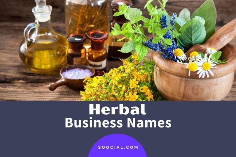 505 Catchy Herbal Business Name Ideas Soocial