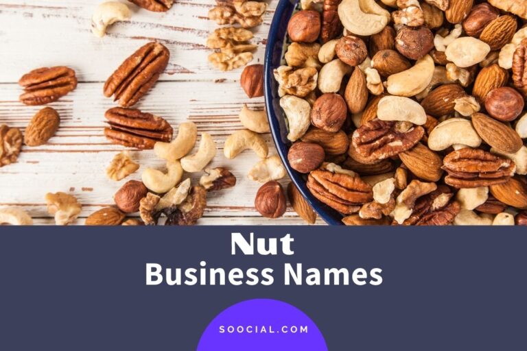 263 Nut Business Name Ideas to Think Outside The Shell - Soocial