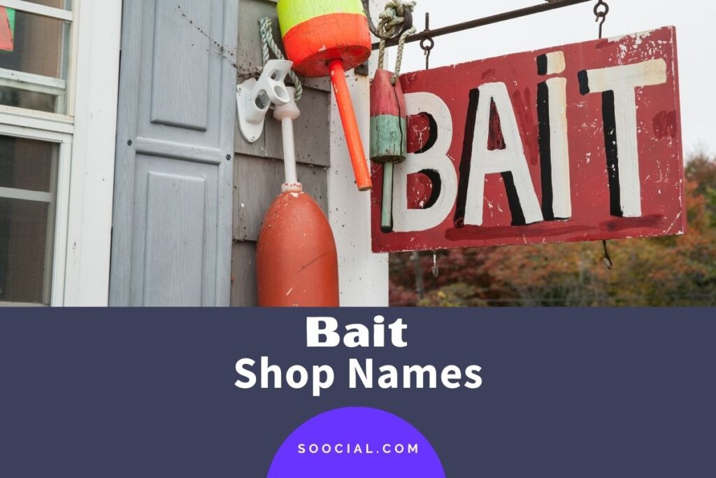 215 Bait Shop Name Ideas to Get 