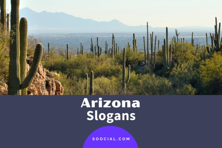 517 Arizona Slogans That Are Way Too Damn Good - Soocial