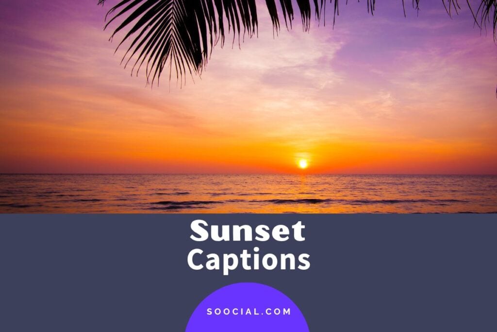 1017-sunset-captions-for-instagram-to-brighten-your-feed-soocial