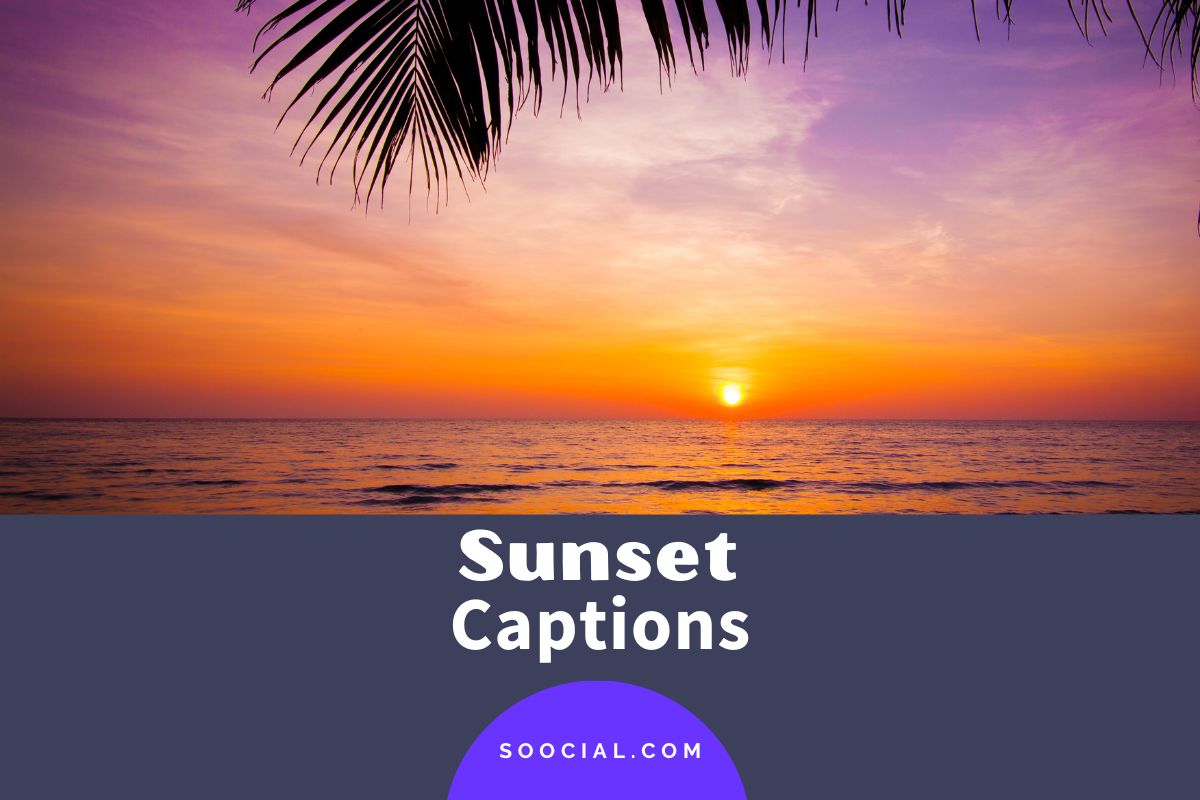1017 Sunset Captions For Instagram To Brighten Your Feed Soocial