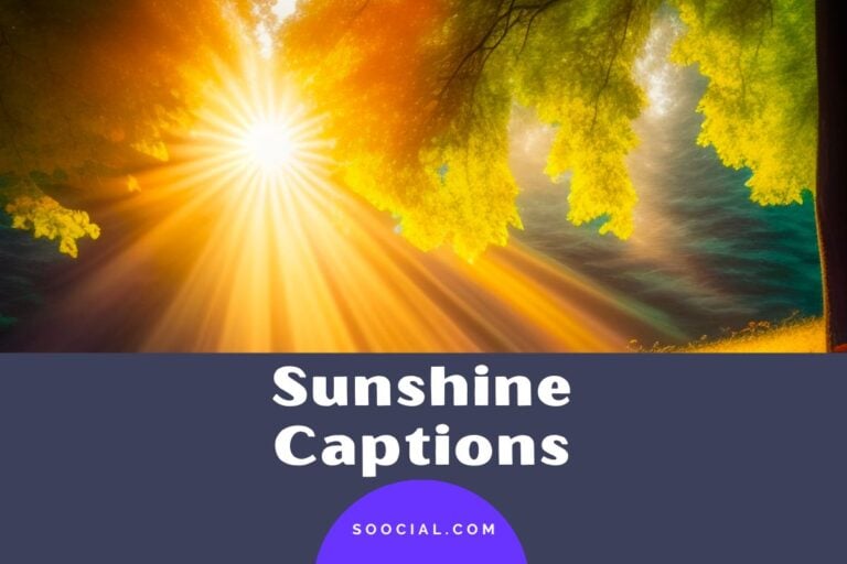 413 Sunshine Captions For All Your Sun Filled Moments Soocial