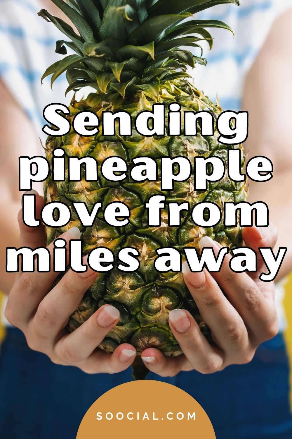 Sending pineapple love from miles away Pineapple captions